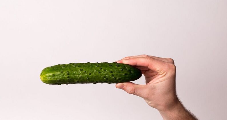 How should the penis stay properly