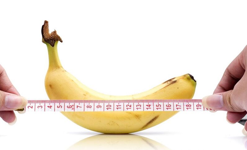 Impact of Abstentority on Penis Length